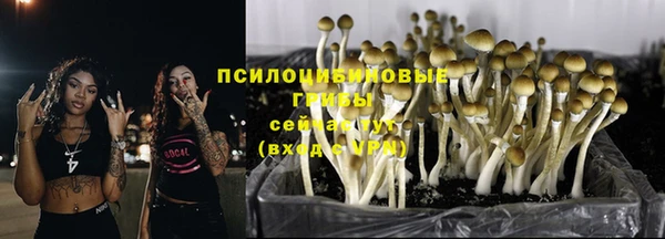 герыч Богородск