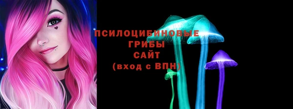 PSILOCYBIN Богородицк