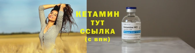 PSILOCYBIN Богородицк