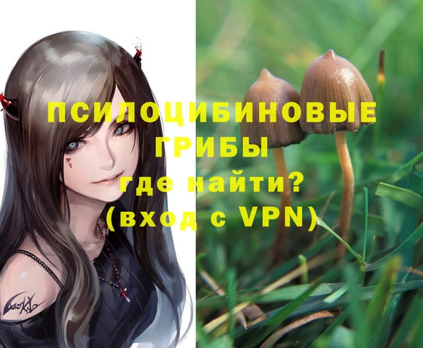 героин Богданович