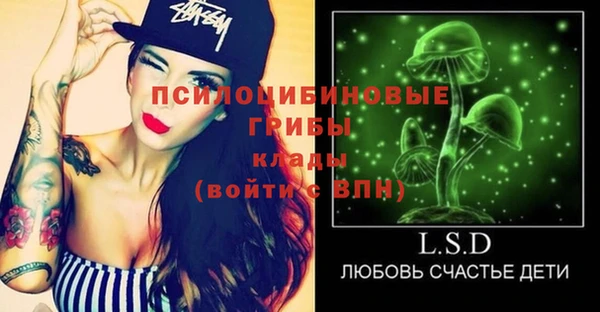 героин Богданович