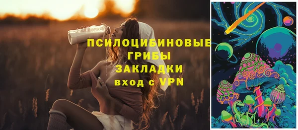 герыч Богородск